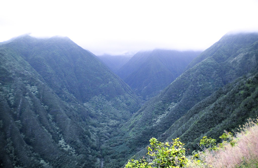 Iao Valley